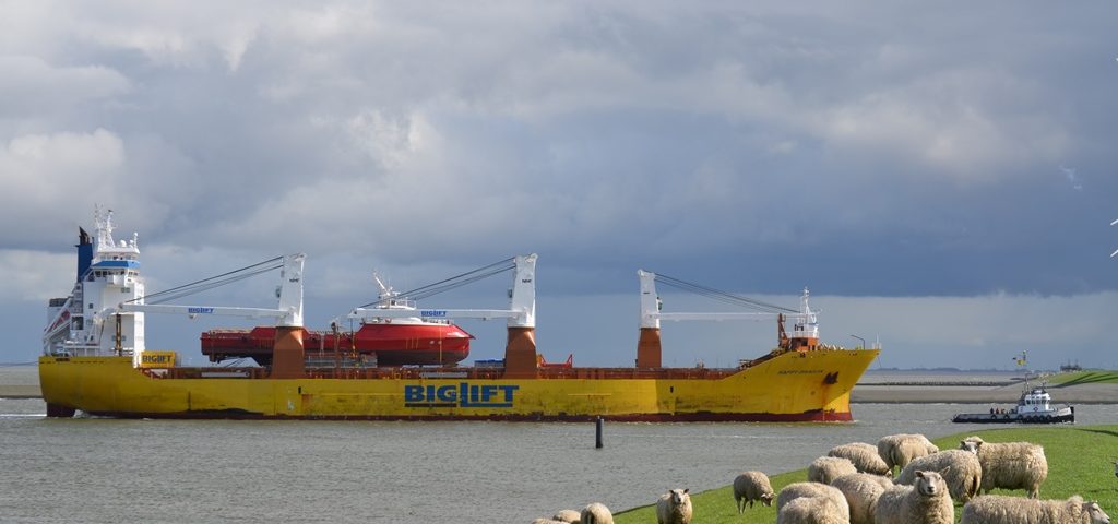 Onder toeziend oog van een kudde schapen vaart de Happy Dragon met aan boord het offshore vaartuig Siem Carajas de Eemshaven binnen (foto Mariska Burema / www.eemshavenonline.nl)