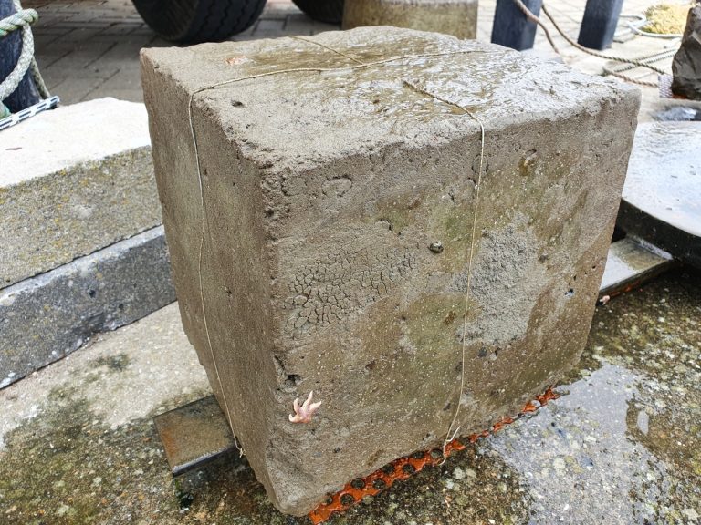 Onderzoek naar rifblokken van Waddenslib