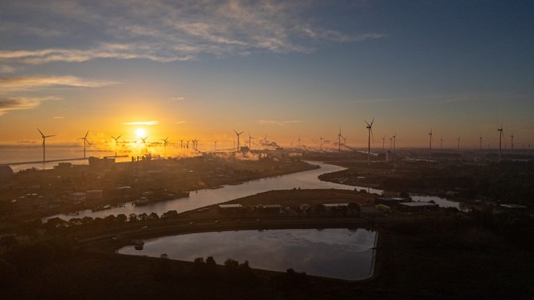 Groningen Seaports continues to invest, despite difficult year for industry