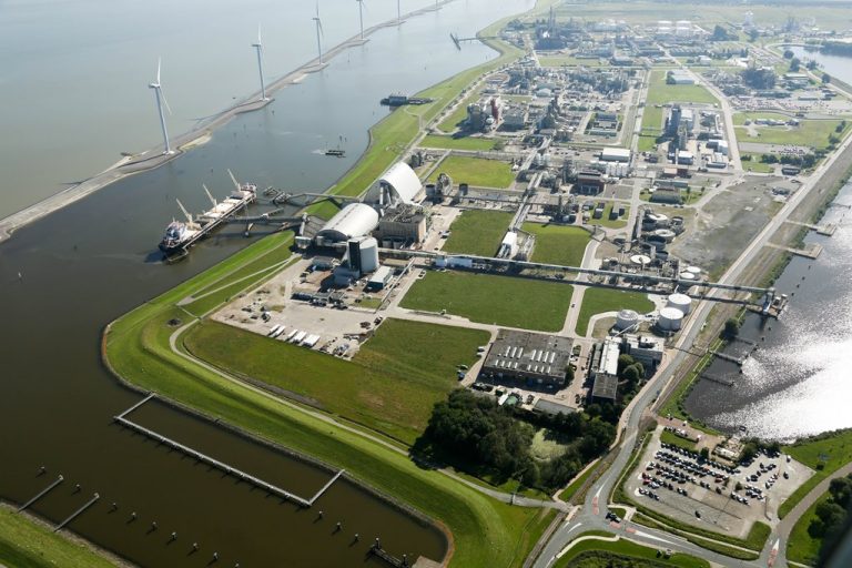 Partnership Initiated for the Development of a Wood to Chemicals Flagship Biorefinery in Delfzijl