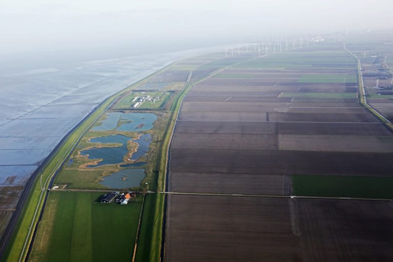 Vogels gedijen goed in natuurgebied Ruidhorn