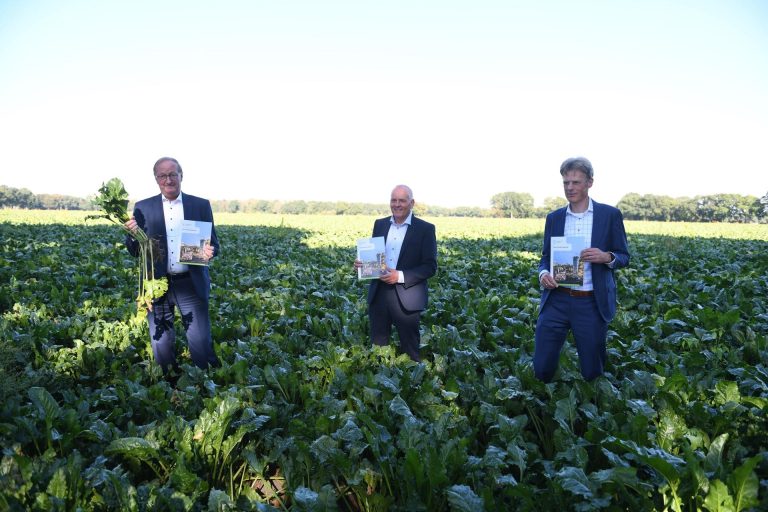 Agenda voor toepassing van suikers in chemie en landbouw
